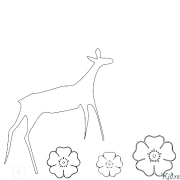 biche - cerf Coloriages À Imprimer